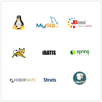 Open Source Expertise